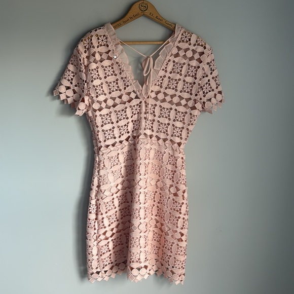 Sandro Paris Manureva Pink Lace Dress 6 - Picture 3 of 15